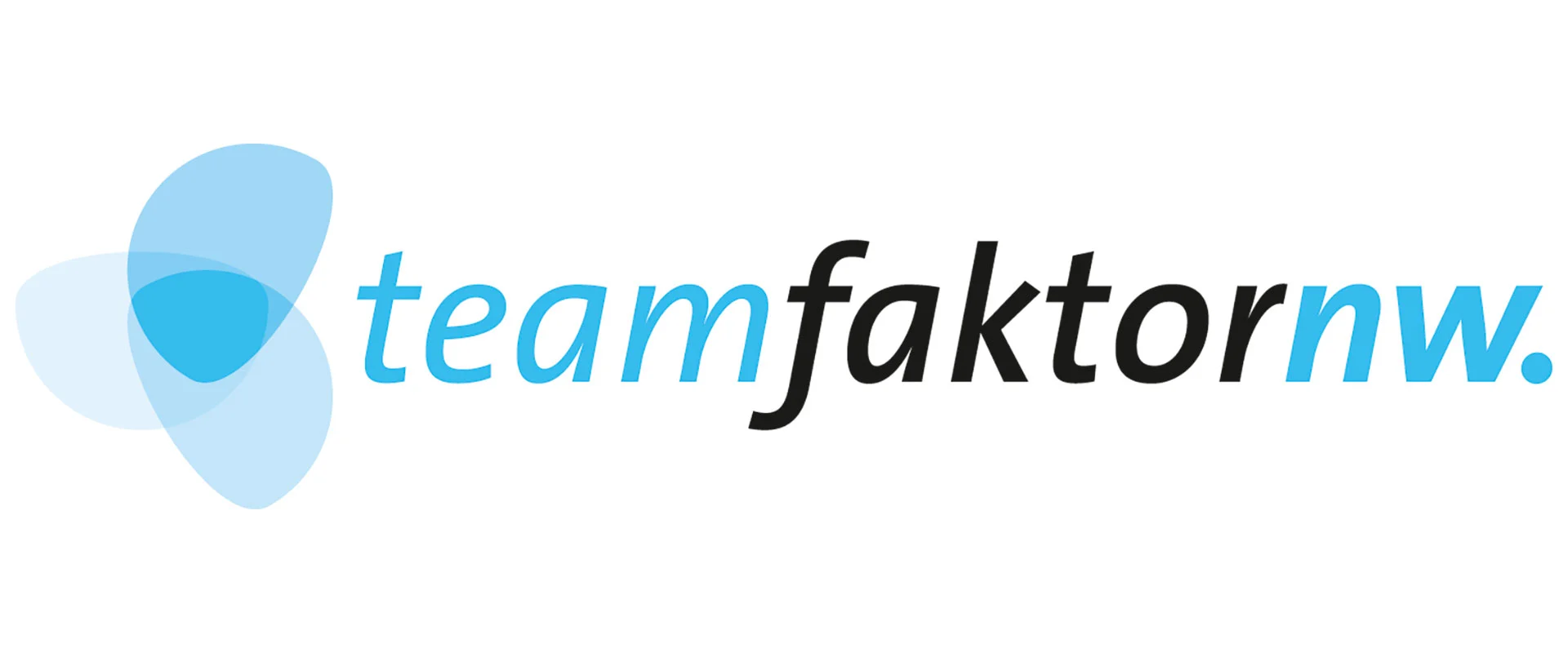 teamfaktornw Logo